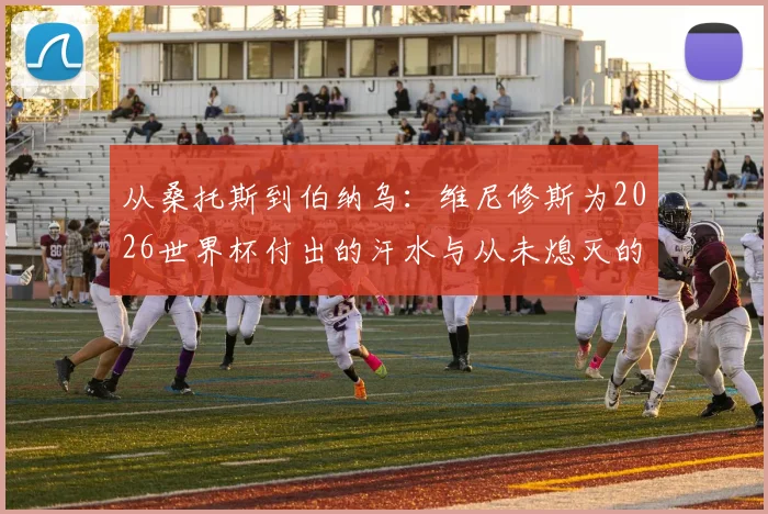 从桑托斯到伯纳乌：维尼修斯为2026世界杯付出的汗水与从未熄灭的梦想